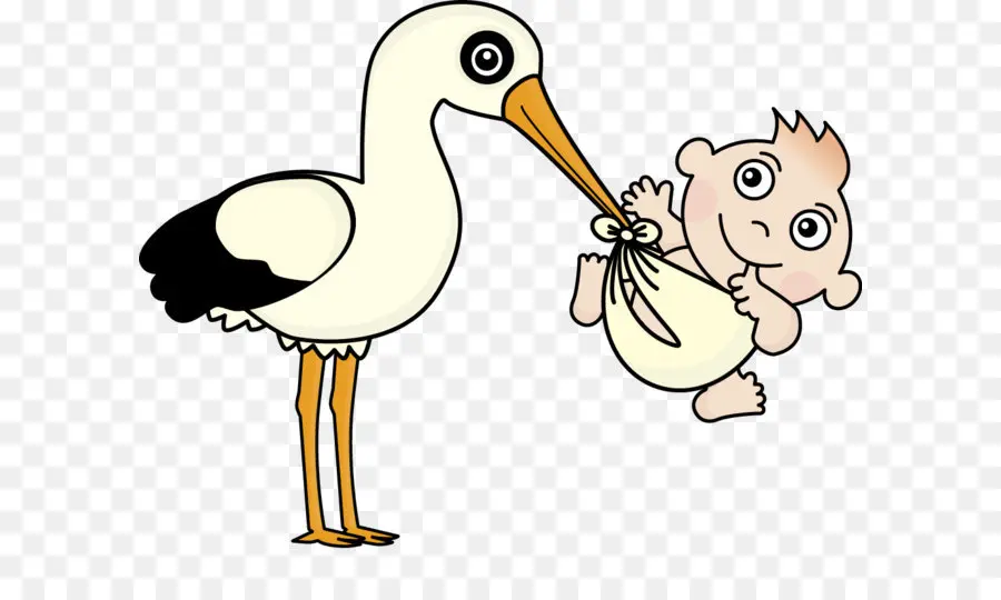 Cigogne Et Bébé，Nouveau Né PNG