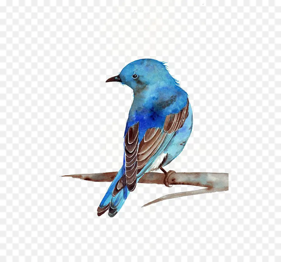 Oiseau Bleu，Nature PNG