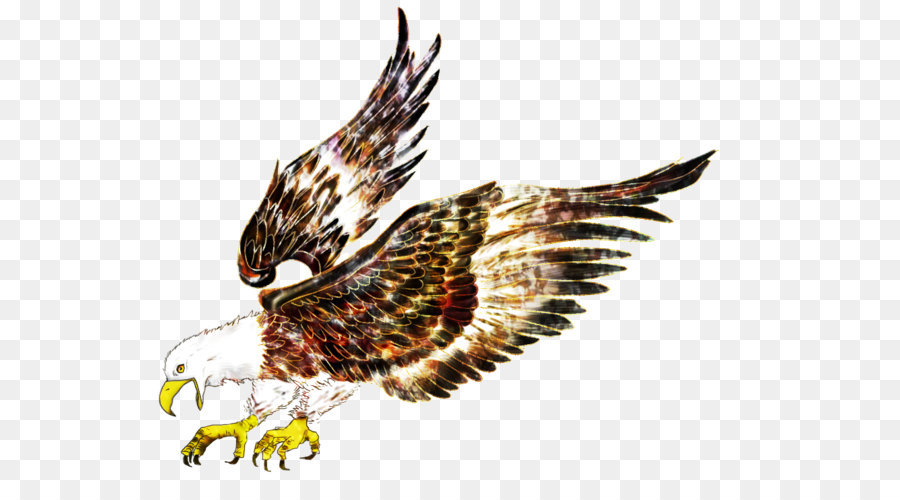Oiseau，Hawk PNG
