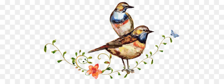 Oiseaux，Nature PNG