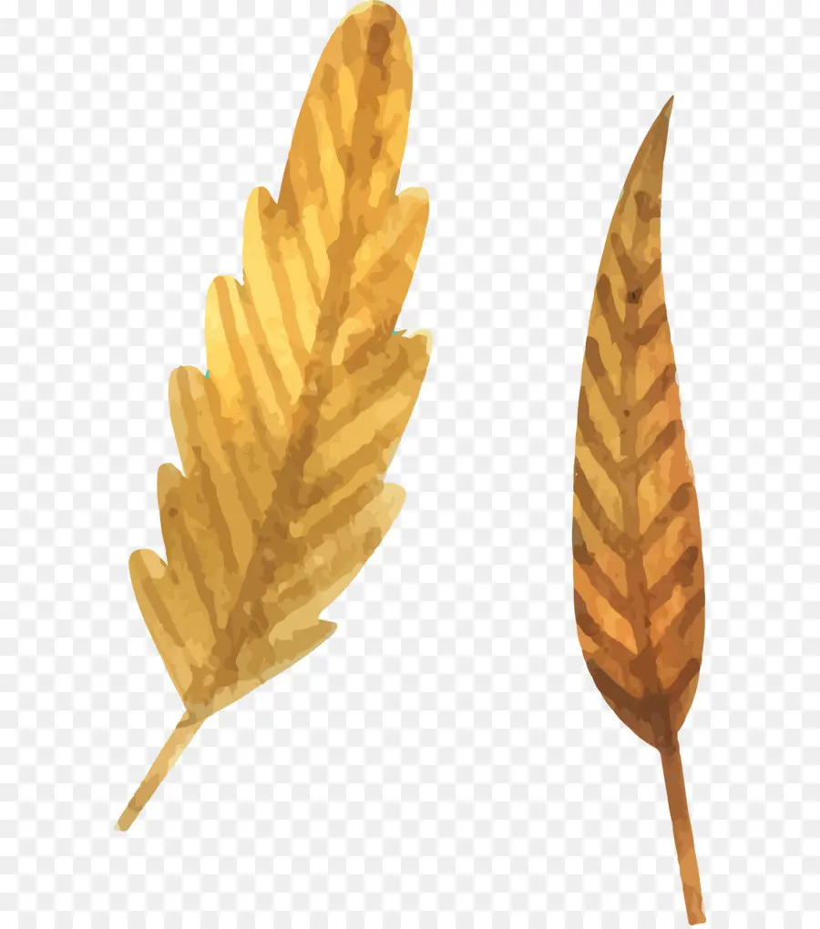 Feuilles D'automne，Feuilles PNG