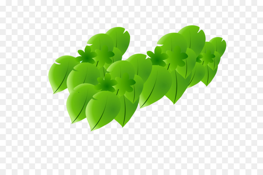 Feuilles Vertes，Feuillage PNG