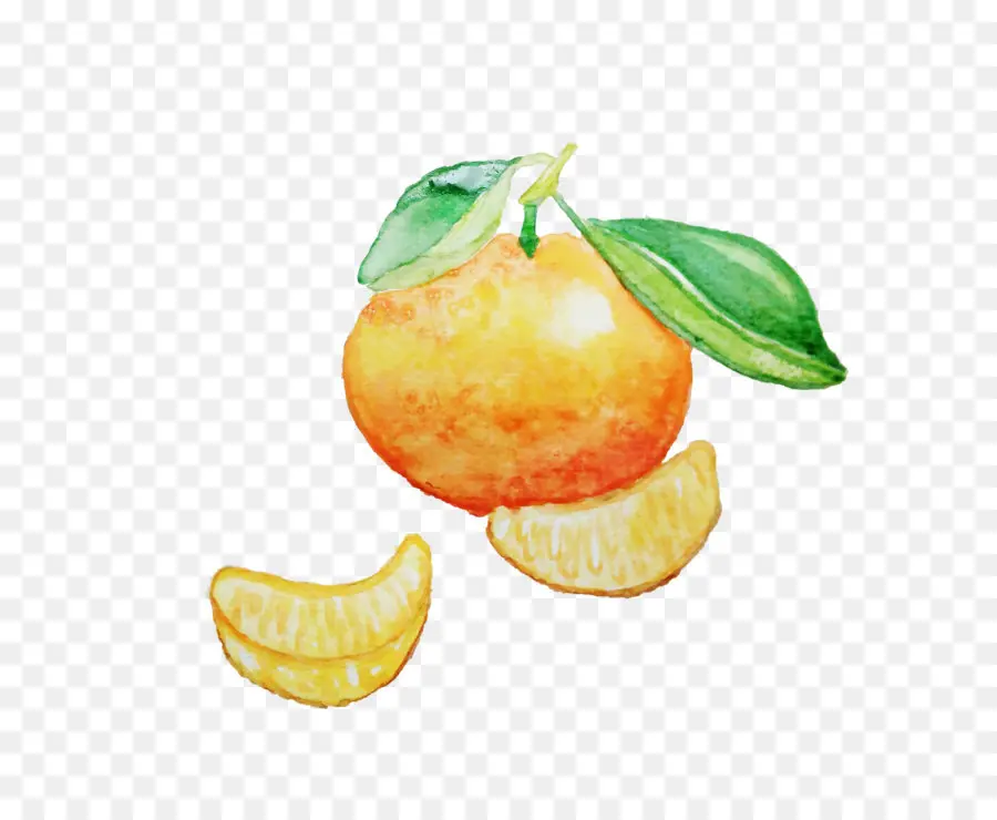 Le Mandarin Orange，Citron PNG