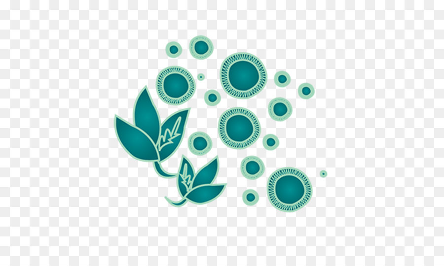 Feuille Et Cercles，Feuilles PNG