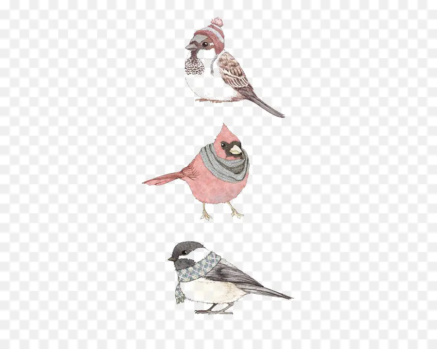 Oiseaux En Foulards，Hiver PNG