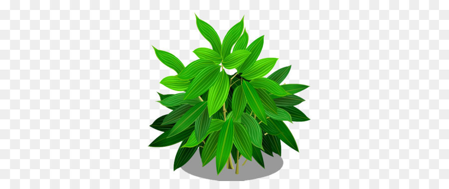 Plante Verte，Feuilles PNG