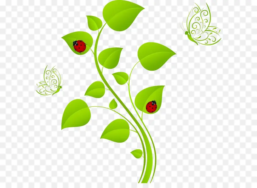 Coccinelles Sur Feuilles，Papillons PNG