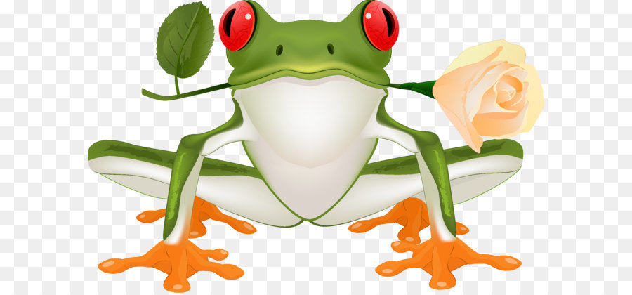 Grenouille，Red Eyed Arbre Grenouille PNG