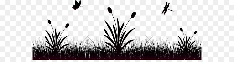 Herbe Silhouette，Plantes PNG