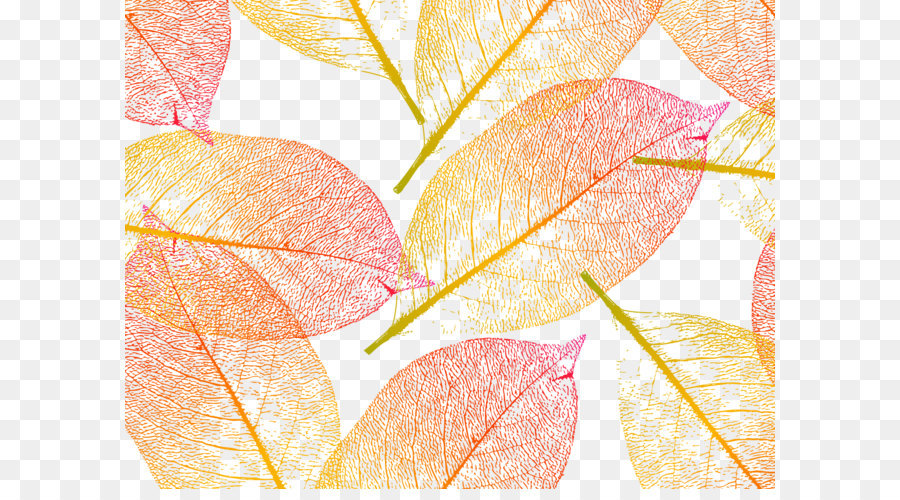 Feuilles Colorées，Automne PNG