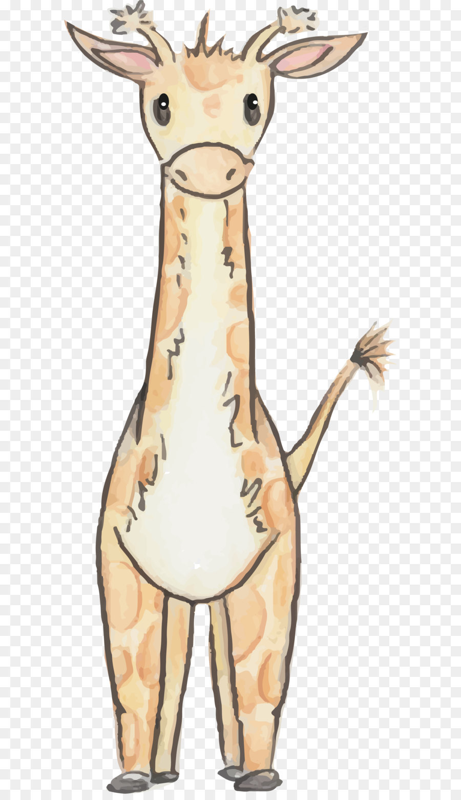 Girafe，Animal PNG