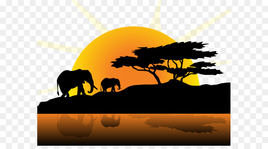 Les éléphants，Coucher De Soleil PNG