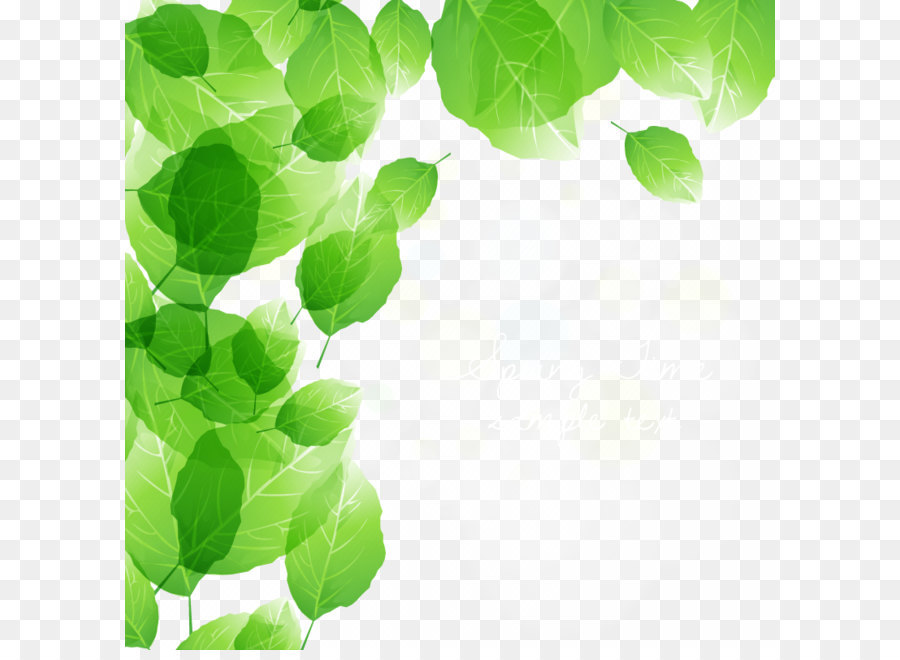 Feuilles Vertes，Vert PNG