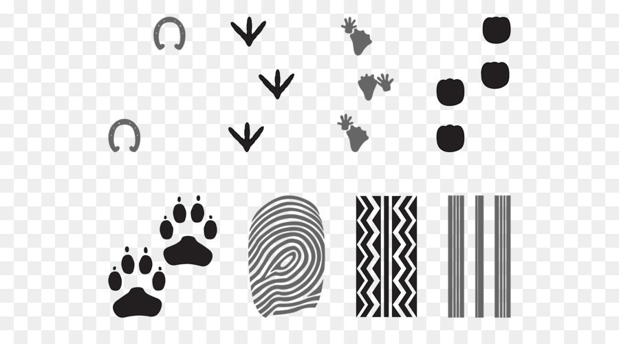 Traces D'animaux，Empreintes PNG