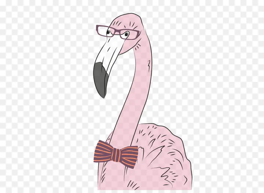 Flamant Rose Avec Des Lunettes，Lunettes PNG