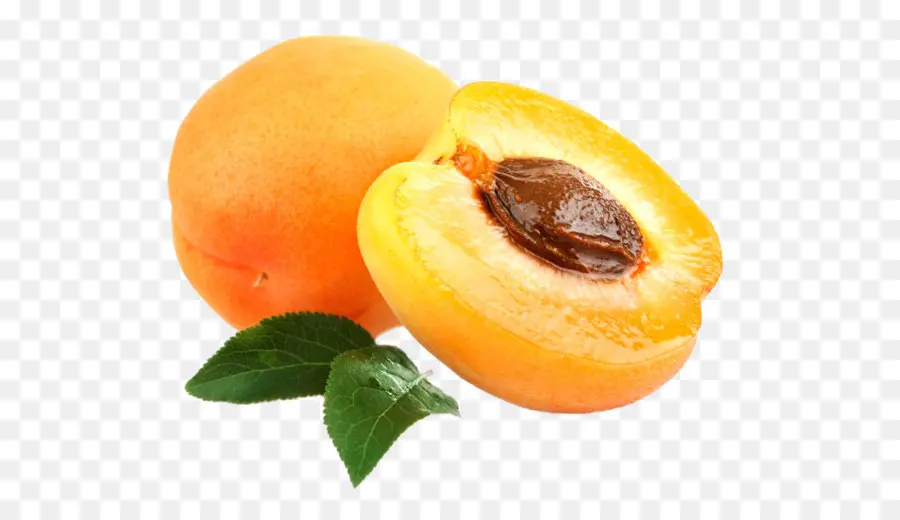 Le Cancer，Abricot Noyau PNG