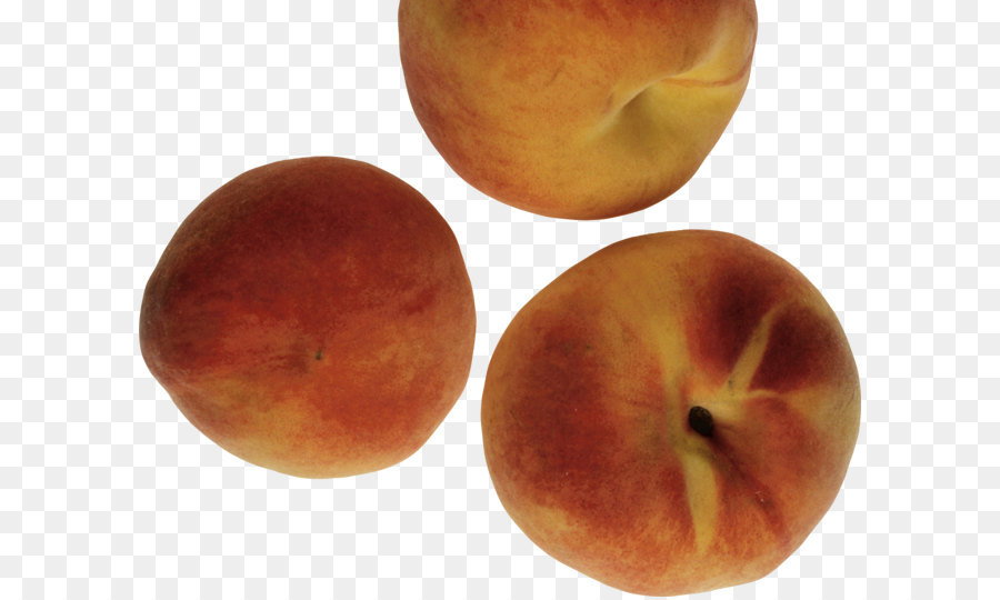 Nectarine，Graphique Logiciel PNG