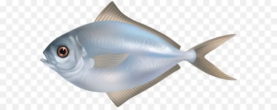 Les Poissons，La Pêche PNG