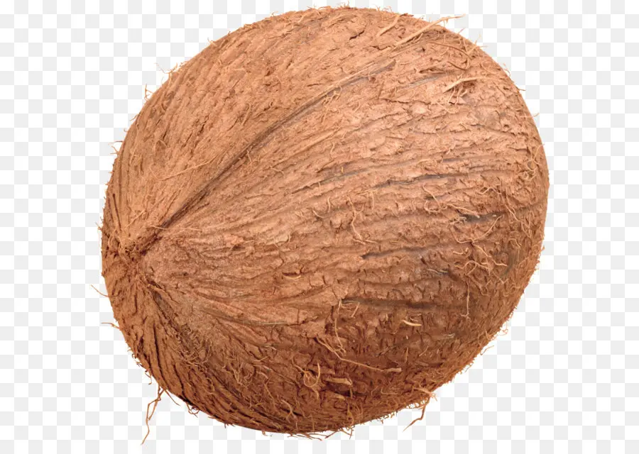 Noix De Coco，Brun PNG