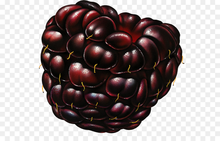 Berry，Framboise PNG