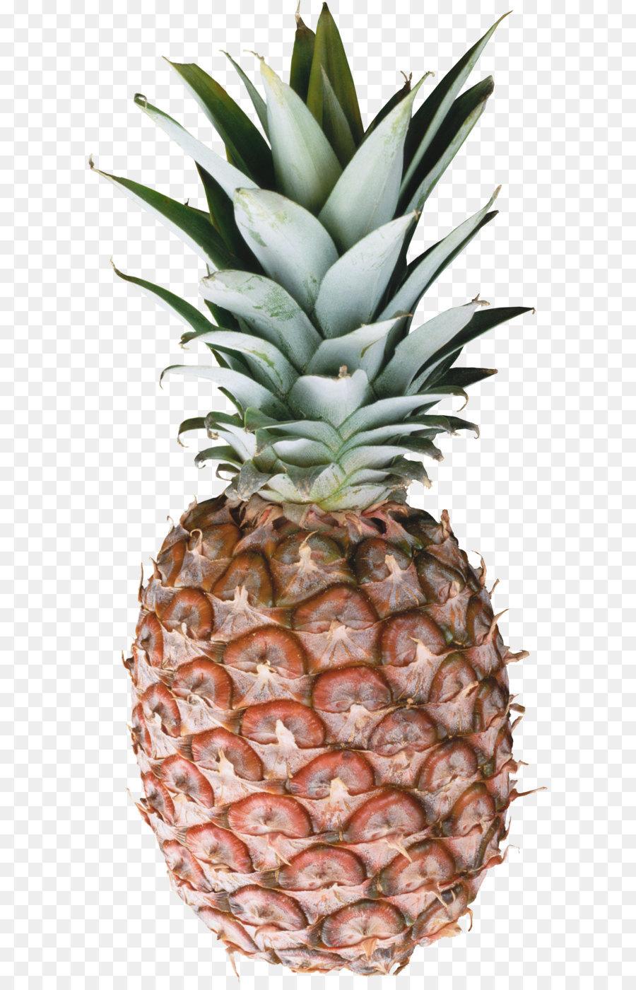 Ananas，Tropical PNG