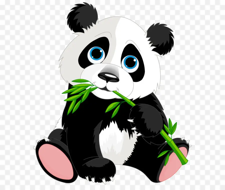 Panda，Bambou PNG