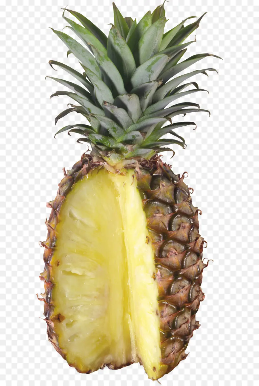 Ananas，Tropical PNG