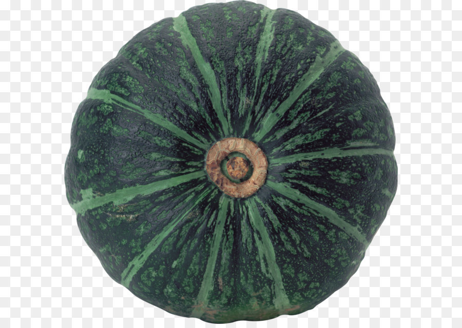 Hiver Squash， PNG