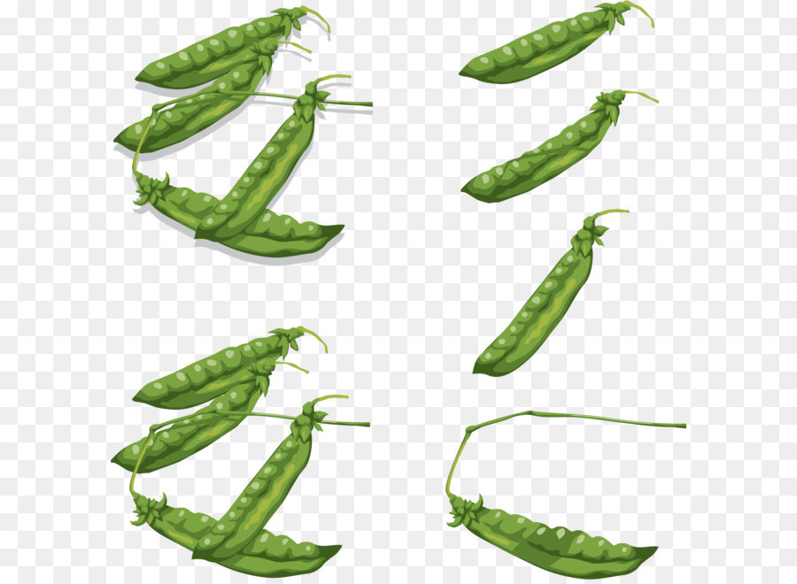 Pois Verts，Gousses PNG