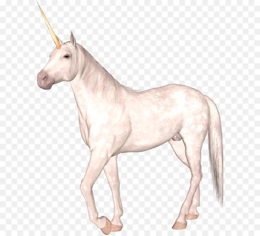 Licorne Blanche，Mythique PNG