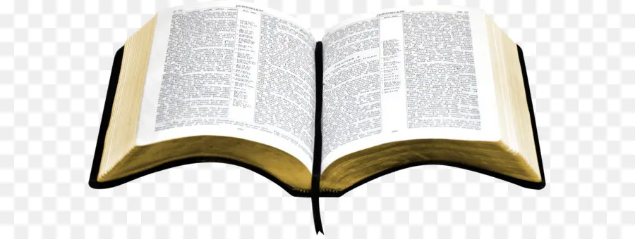 Bible，La Bible Le Vieux Et Nouveau Testament King James Version PNG