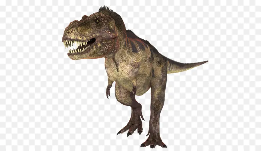 Tyrannosaurus，Gorgosaure PNG