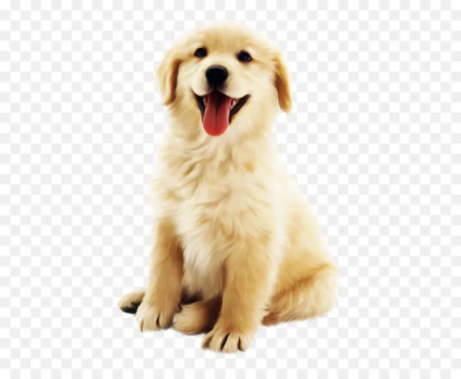 Petit Chien Mignon，Chiot PNG