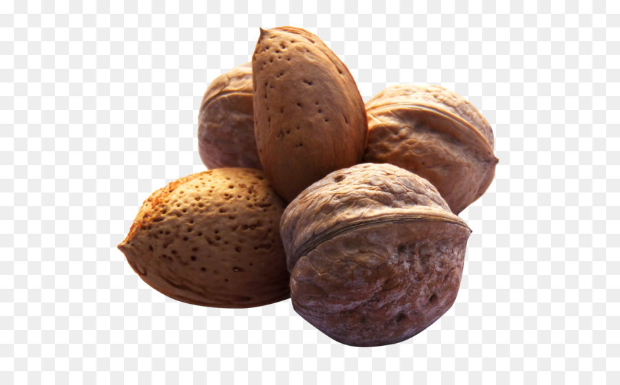 Noix，Amandes PNG