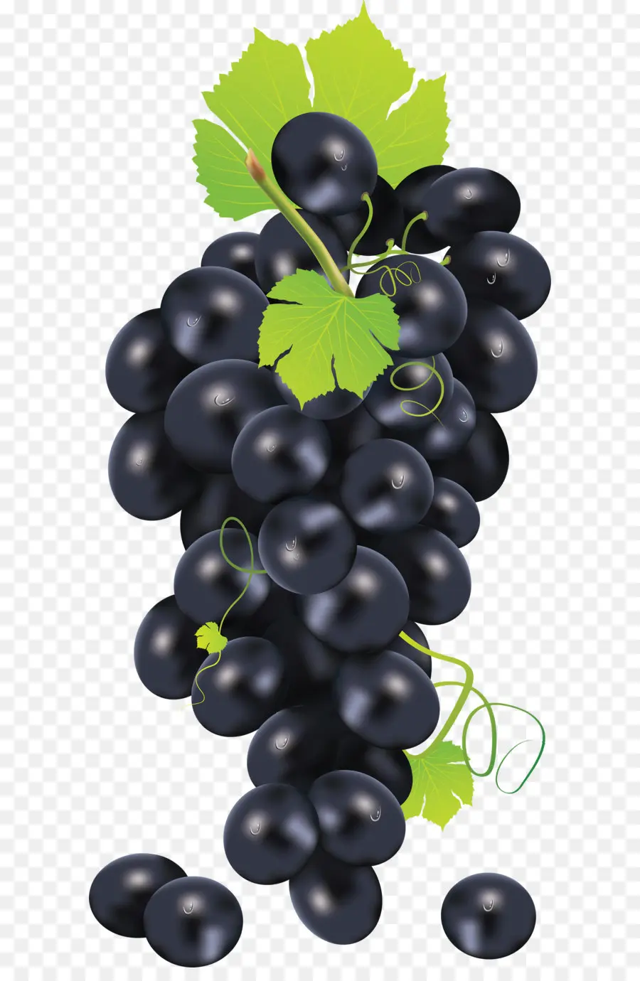 Raisins Rouges，Vigne PNG