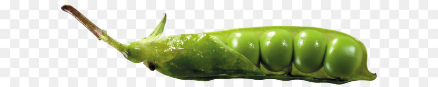 Gousse De Pois，Vert PNG