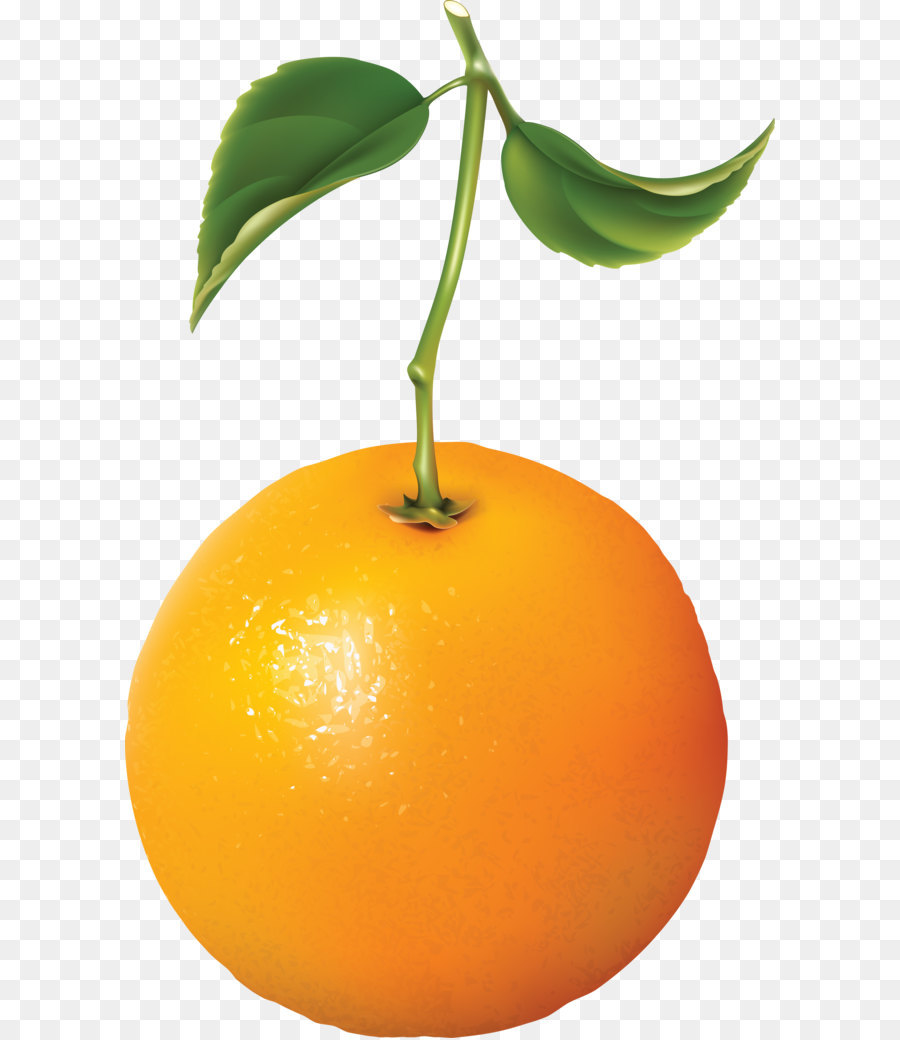 Orange，Agrumes PNG