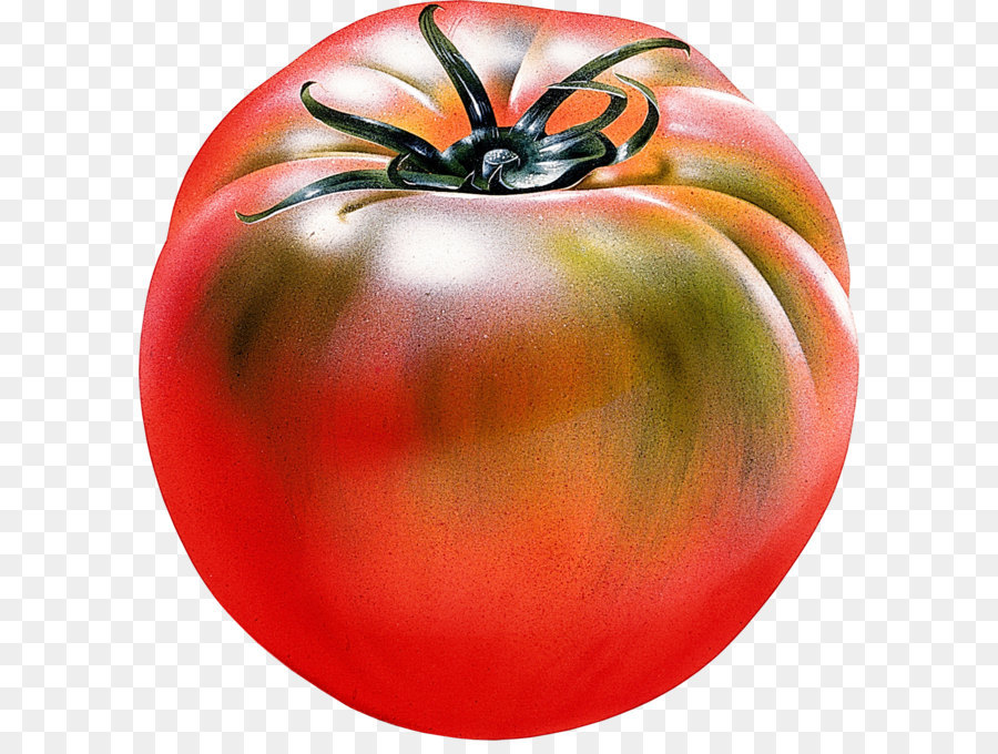 Tomate，Fruit PNG