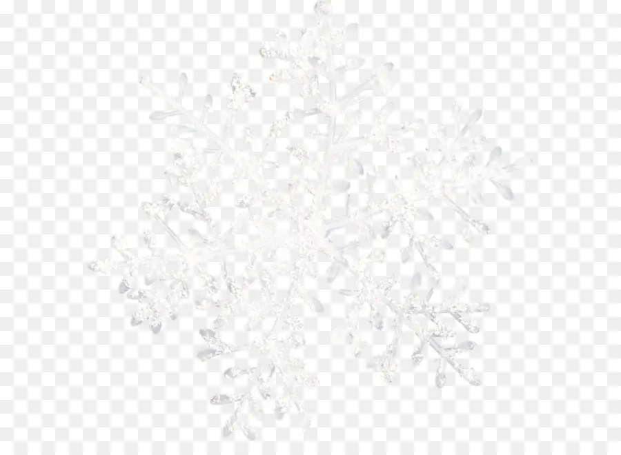 Flocon De Neige，Hiver PNG