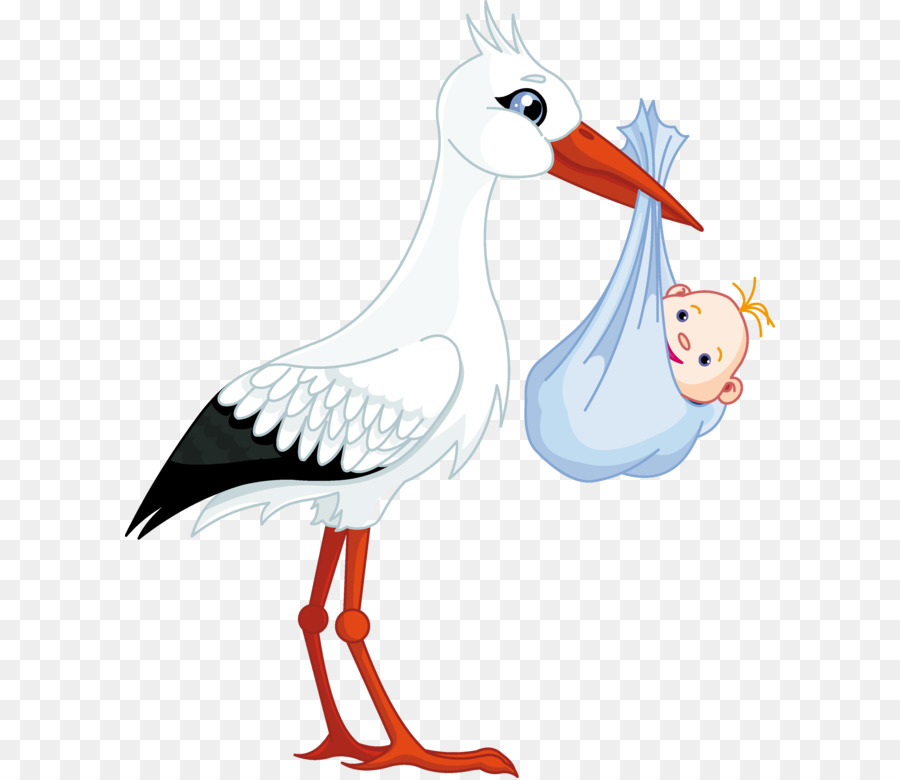 Bebe Cigogne Enfant Png Bebe Cigogne Enfant Transparentes Png Gratuit