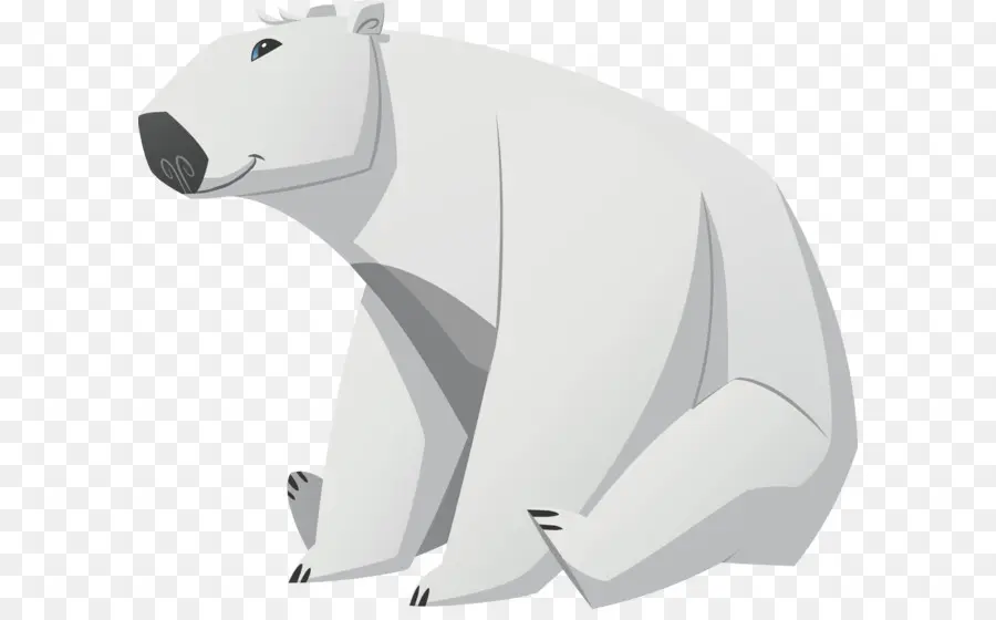 Ours Blanc，Arctique PNG