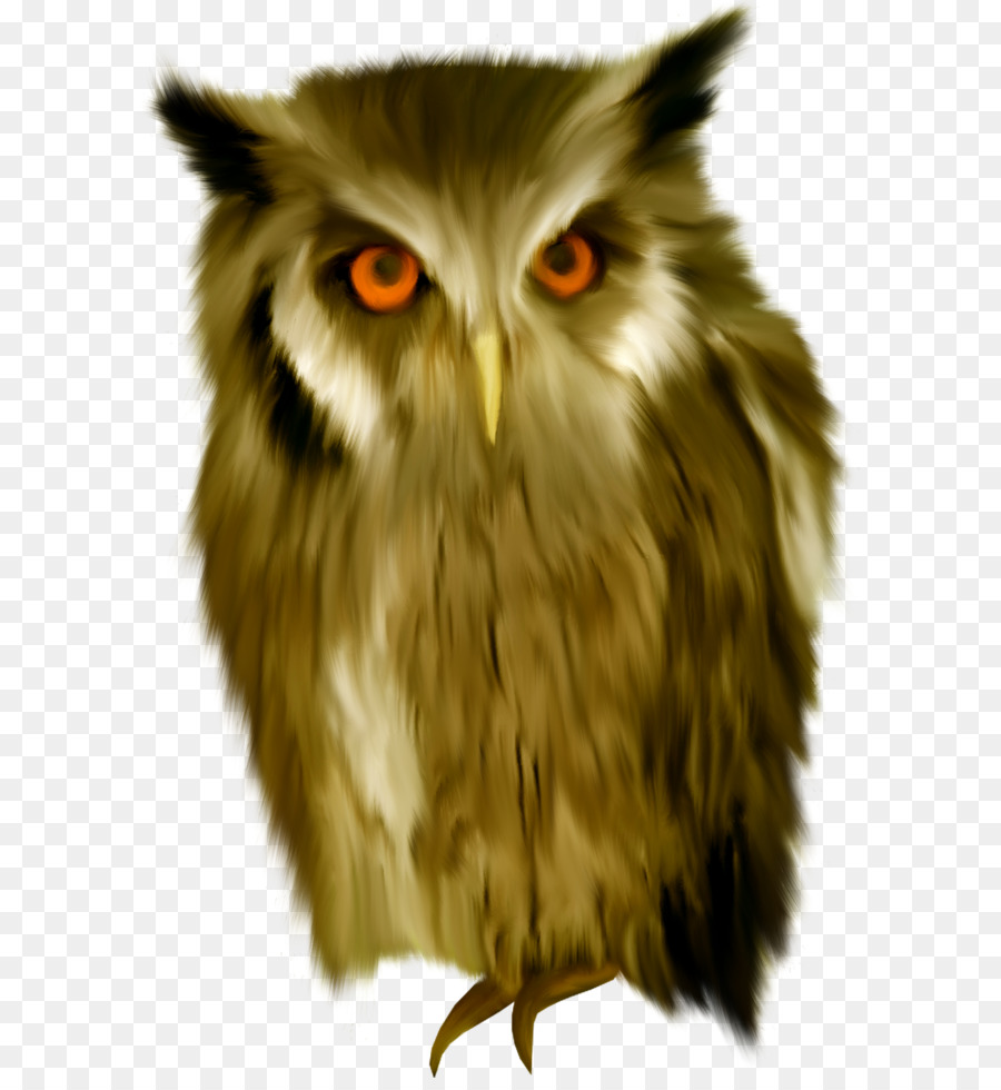 Hibou，Mignon PNG