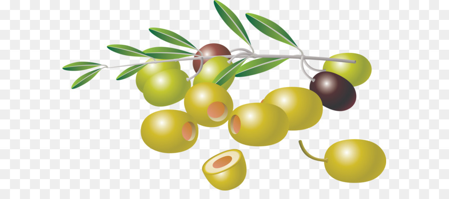 Olives，Vert PNG