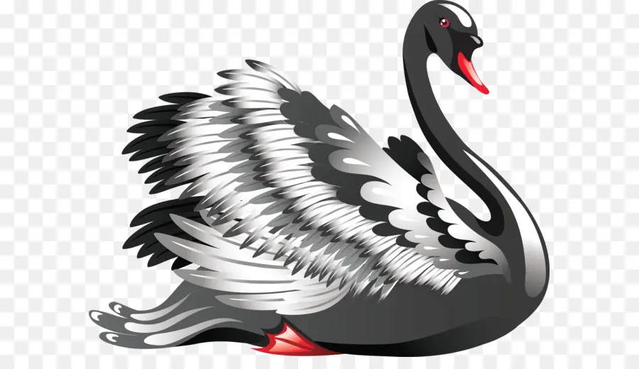 Black Swan，Coeur PNG