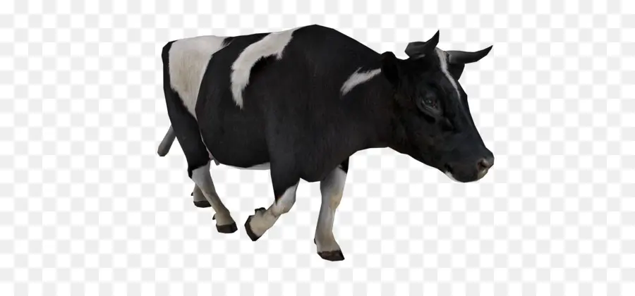 Vache，Bétail PNG