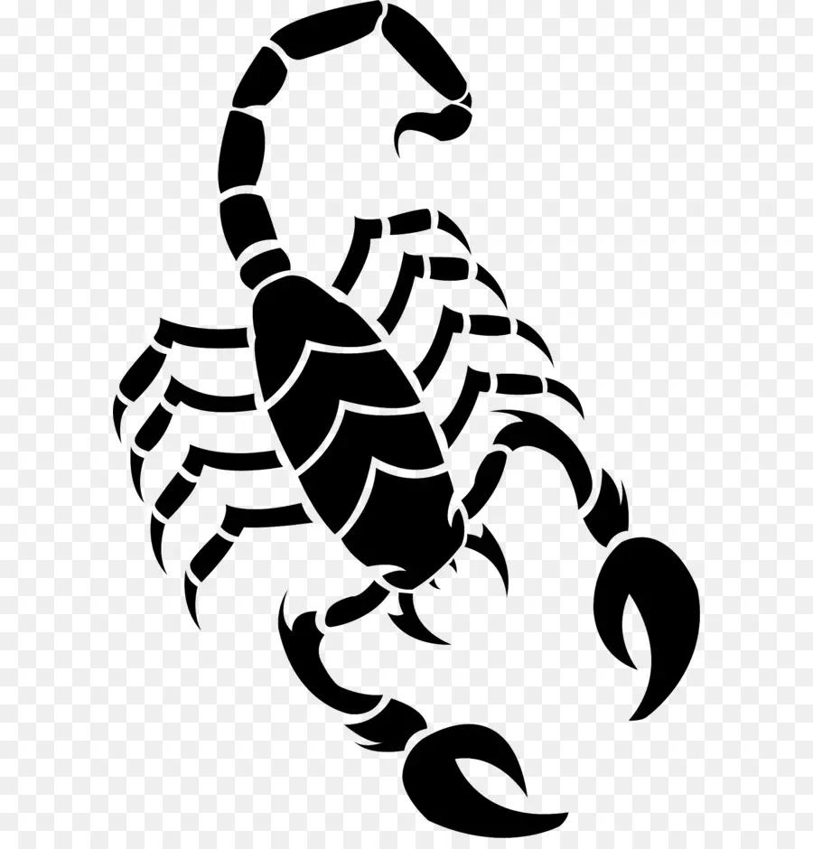 Scorpion，Dessin PNG