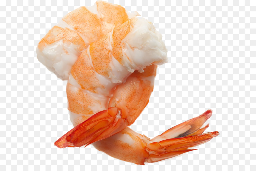 la caride ceviche crevettes png la caride ceviche crevettes transparentes png gratuit la caride ceviche crevettes png la