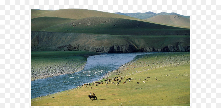 Les Prairies，Pâturage PNG