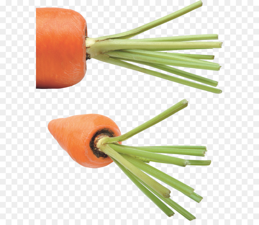 Carottes，Orange PNG