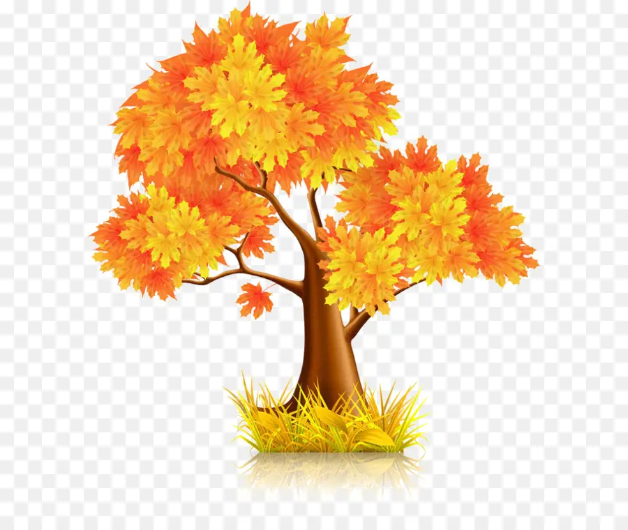 Arbre，Automne PNG